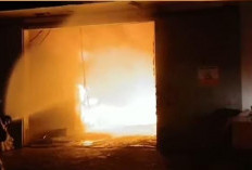 Si Jago Merah Hanguskan Gudang Frozen, Pemilik Rugi Ratusan Juta 