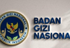 PPPK Badan Gizi Nasional 2026 Tahap 3-4 Resmi Dibuka, Bagi Pelamar dan Fresh Graduate Bisa Daftar Sekarang