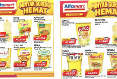 Promo Minyak Goreng Hemat Alfamart Oktober 2026, Sovia Hingga Filma Turun Harga, Cek Daftar Lengkapnya 