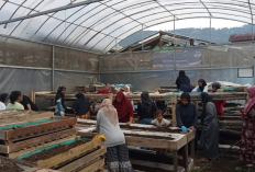 Ubah Limbah Jadi Sumber Penghidupan, Nasabah PNM Mekaar Sukses Kembangkan Usaha lewat Sinergi Ultra Mikro BRI