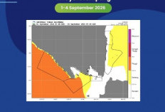 BMKG Rilis Peringatan Dini Gelombang Tinggi Hingga 4 Meter di Perairan Lampung, Berlaku 1–4 September 2026