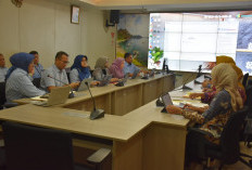 Wagub Jihan Minta Dukungan Kemenkes, Percepat Faskes Lampung