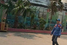 Kebakaran Hebat Melanda SDN 14 Tulangbawang Barat, Dua Ruang Kelas dan Ruang Kepsek Hangus