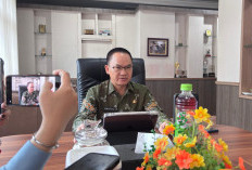 125.749 Kendaraan Manfaatkan Keringanan PKB, Bapenda Evaluasi Program 8 Juli