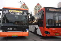 Jadi Standar Transportasi Global hingga Armada Transjakarta, Intip Kecanggihan Bus Listrik BYD dan Peluangnya 