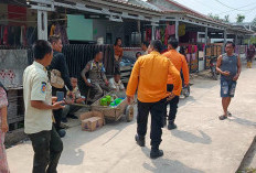 Lansia 75 Tahun Hilang dari Rumah, Tim Gabungan Sisir Sejumlah Lokasi