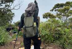 Jalur 'Kecil-Kecil Cabai Rawit' Gunung Rajabasa via Teropong Kota: Panduan Lengkap untuk Pendaki Pemula