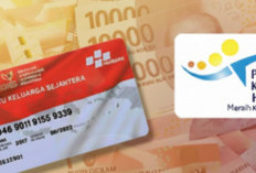 Jangan Sampai Gagal! Cara Mudah Daftar PKH 2026 dan Cek Status Penerima