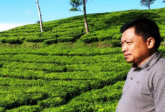 Memperkuat Ekonomi Tanggamus