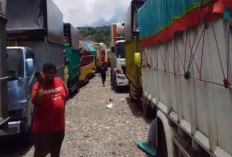 Puluhan Truk Tertahan di Pelabuhan BBJ, Muatan Buah Membusuk dan Supir Nyaris Demo