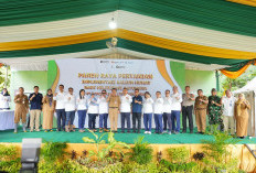 Panen Raya Hasil Padi Kalium Humat Bukti Hilirisasi Batubara Dukung Ketahanan Pangan Nasional