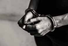 Pelarian Berakhir di Kos-kosan, Polres Pringsewu Ringkus Buron Pencuri Mesin Bajak Sawah asal Lampung Tengah