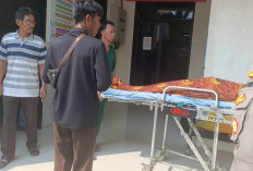 Janda Lansia di Lampung Selatan Ditemukan Tewas dengan Luka di Sejumlah Bagian Tubuh