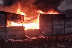 Gudang BBM Diduga Ilegal di Perbatasan Lamsel dan Pesawaran Kebakaran , Dekat Perumahan Padat Penduduk  