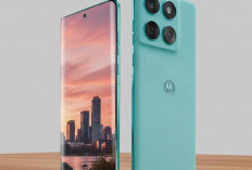 Motorola Edge 60 Neo: Layar Compact, Performa Kencang, dan Fitur Premium di Kelas Menengah