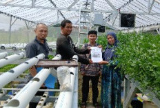 Siapkan Tani Cerdas, Teknologi IIB Darmajaya Bantu Pantau Greenhouse Dari HP