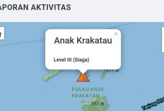 Gunung Anak Krakatau Masih Berstatus Siaga, Asap Kawah Terpantau hingga 200 Meter