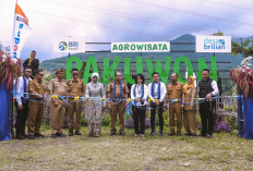 Via Program Desa BRILiaN, Desa Pajambon di Kuningan Jadi Contoh Transformasi Ekonomi Desa Basis Potensi Lokal