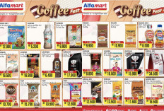Besok Terakhir, Promo Coffee Fest di Alfamart, Cek Daftar Harganya di Sini