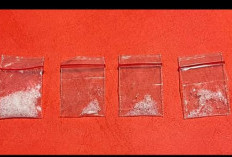 Operasi Antik Sepekan, Polresta Bandar Lampung Ringkus 24 Tersangka Narkoba