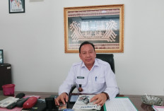 Dua Sumber Penerimaan Jadi Andalan, Disdag Bandar Lampung Targetkan Retribusi Tahun 2026 Capai Rp3.6 Miliar