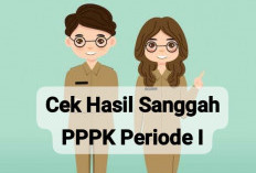 BKPSDM Metro Targetkan Pelantikan PPPK Paruh Waktu Minggu Depan