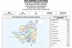 BMKG Lampung Deteksi 155 Titik Panas Tersebar di 10 Kabupaten, Tulang Bawang Terbanyak