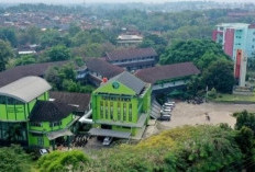 4 Tahun Dinanti, D3 Farmasi Polinela Resmi Kantongi Izin Operasional Kemendiktisaintek