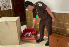 Warga Lampung Tengah Heboh Dukun Penarik Uang Leluhur, Alfa Dera: Perkara Masuk Tahap Pembuktian