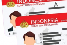 Biaya Bikin SIM A Juni 2026 Tidak Hanya Rp120 Ribu, Ini Rincian Dana yang Perlu Disiapkan