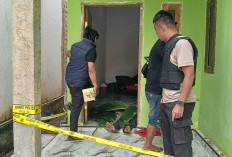 Dipicu Persoalan Undangan Pesta, Pria di Gunung Pelindung Tewas Ditembak Tetangganya