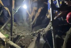 Kerbau Tercebur Sumur 8 Meter, Damkarmat Bandar Lampung Berjibaku Lima Jam