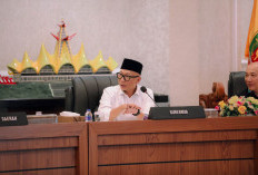 Gubernur Mirza Tegaskan Target Pertumbuhan Ekonomi 8 Persen, Tak Bisa Hanya Andalkan APBD Lampung