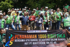Rayakan Hari Jadi ke-45, PTBA Perkuat Komitmen Kelestarian Alam dan K3