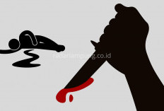 Polres Tulang Bawang Tangkap Pelaku Pembunuhan Pelajar SMK yang Tewas di Kebun Sawit, Ini Motifnya
