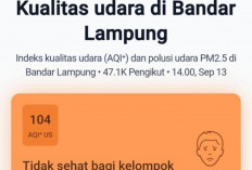 Kualitas Udara Bandar Lampung Tidak Sehat, Simak Himbauan Diskes Kota