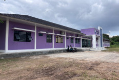 Rumah Sakit Hewan Lampung Mulai Layani Pasien 