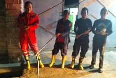 Masuk Rumah Warga Menggala, Ular Kobra Dievakuasi Damkar Tulang Bawang