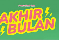 Kembali Hadir! Kode Voucher Pahamify Akhir Bulan dengan Diskon 65 Persen, Jangan Lewatkan!