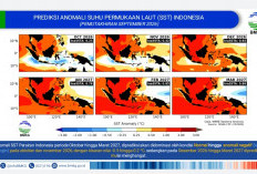 Anomali Iklim dan Ancaman Karhutla di Lampung: Ratusan Titik Panas Mengepung di Tengah Bayang-Bayang El Nino? 