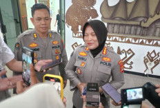 Usai Kapolda Tinjau Lokasi, Empat Saksi Dugaan Ilegal Logging di Pesisir Barat Diperiksa