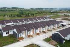 Konsisten Dukung Program Tiga Juta Rumah, BRI Salurkan KPR Subsidi Rp16,16 T ke 118 Ribu Debitur hingga 2025