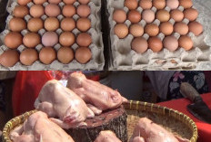 MBG Kembali Normal, Harga Telur dan Ayam Potong Naik di Bandar Lampung 