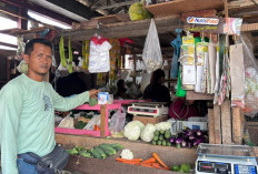 Dulu Kuli Bangunan, Kini Andi Sukses Besarkan Sayur Qita Berkat KUR BRI