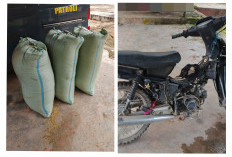 Diduga Curi Gabah Petani, Pemuda Asal OKU Timur Diamankan Polsek Buay Bahuga Way Kanan