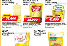 Minyak Goreng Hemat di Alfamart, Cek Daftar Harganya, Lengkap Mulai Rp 33 Ribuan