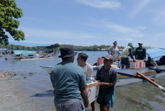 Dari Potensi Lokal ke Prestasi Nasional, Desa BRILiaN Sausu Tambu Perkuat Ekonomi Pesisir