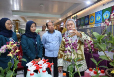 Jadi Etalase Kampus, Unila Dorong Potensi Ekonomi dan Konservasi Lewat Pameran Anggrek Nusantara
