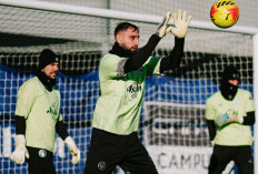 Link Live Streaming Manchester City vs Brighton: Haaland On Fire, Brighton Datang Bawa Ancaman