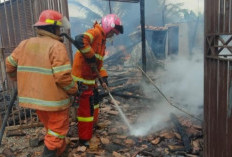 Dalam Sehari, Dua Kebakaran Landa Pringsewu: Rumah Papan Hangus 90 Persen, Ponpes Turut Terbakar